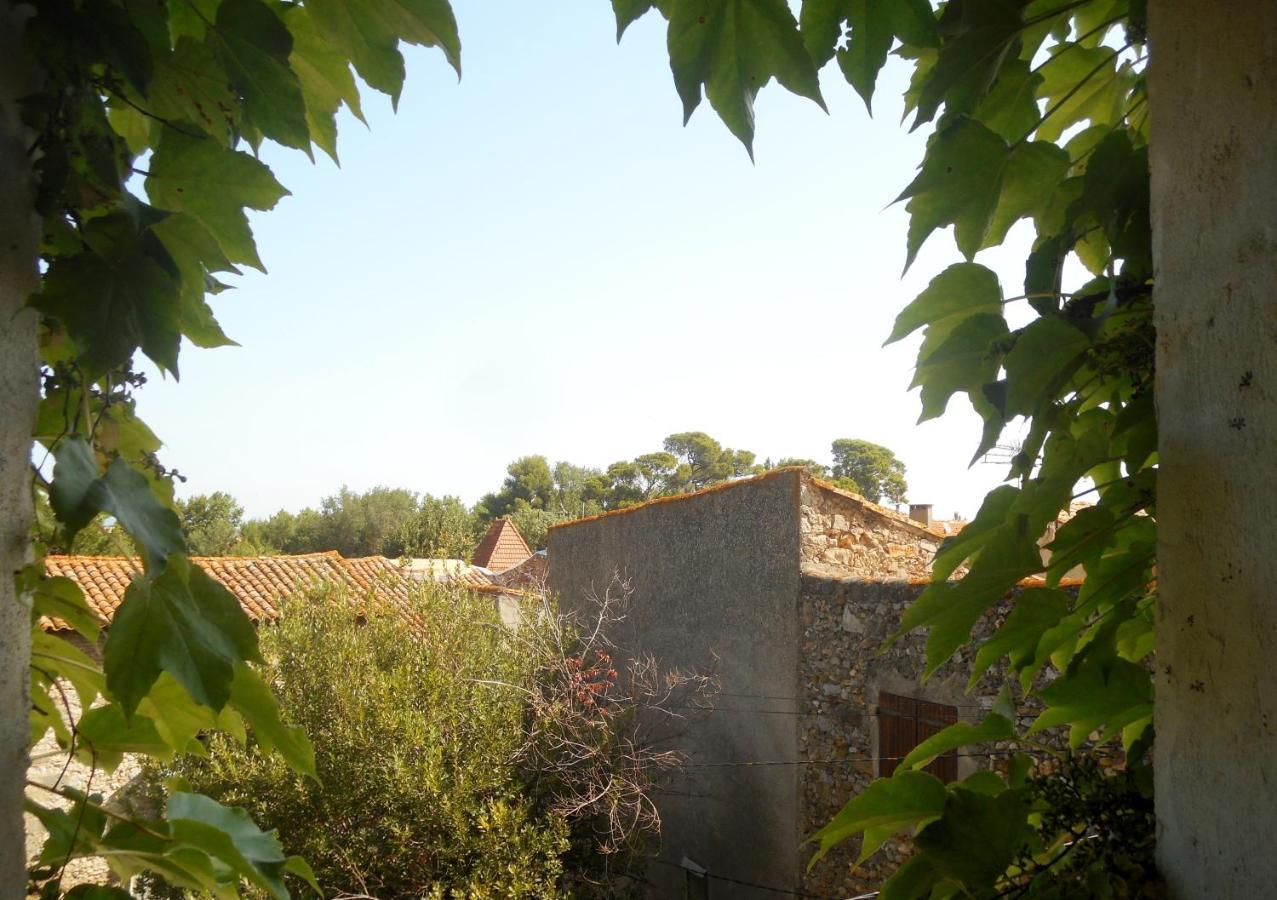 Logis De La Meschaussee, Dans Donjon Du Xie Siecle Canet  ภายนอก รูปภาพ